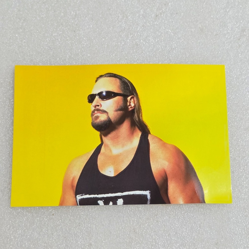 Brian Adams Crush #79 WCW NWO Superstars Photocard Panini 1998 4x6 Vtg wrestler